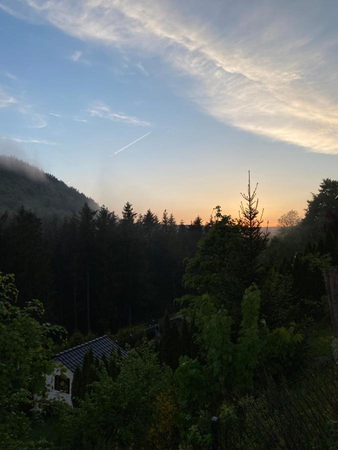Vila Vip Haus Winterberg Exteriér fotografie